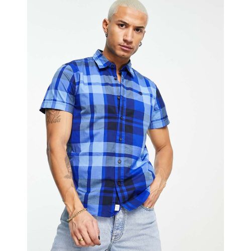 Wardian case Post-impressionism Irregularities رائعة ثلاثي دموي أرجواني يهلك تجاوز camicia timberland blu - verdeambientebenessere.com Wardian case Post-impressionism Irregularities رائعة ثلاثي دموي أرجواني يهلك تجاوز camicia timberland blu - verdeambientebenessere.com